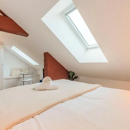Sous Les Combles Cote Rue, Parking Gratuit Apartment Villeneuve-d'Ascq